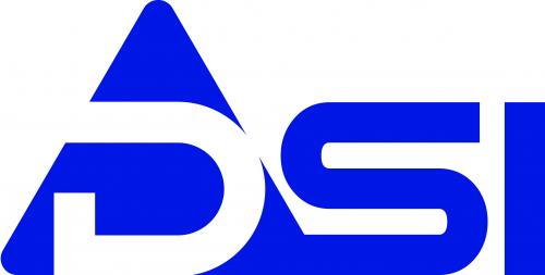 DSI LOGO